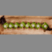 114. Veggie Rush Kaburimaki (8 stk.)